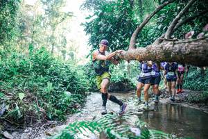 BIB: 
                            <button type="button" onclick="openModal(25443237)" class="btn btn-primary btn-sm float-right btn-popup" data-toggle="modal" data-target=".modal-high-quality">
                        <i class="fas fa-shopping-cart"></i> Add to Cart
                    </button>
                                            <button type="button" onclick="isThisMe(25443237, true)" class="btn btn-success btn-sm float-right btn-popup btn-isme hidden" data-toggle="tooltip" data-placement="bottom" title="นี่คือรูปของคุณใช่ไหม คลิกที่นี่เพื่อเอาเข้าอัลบั้ม">
                        <i class="fas fa-plus"></i> Add to album
                    </button>
                    <button type="button" onclick="isThisMe(25443237, false)" class="btn btn-warning btn-sm float-right btn-popup btn-isnotme hidden">
                        <i class="fas fa-ban"></i> Remove from album
                    </button>